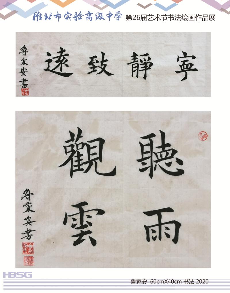 鲁家安_爱奇艺.jpg