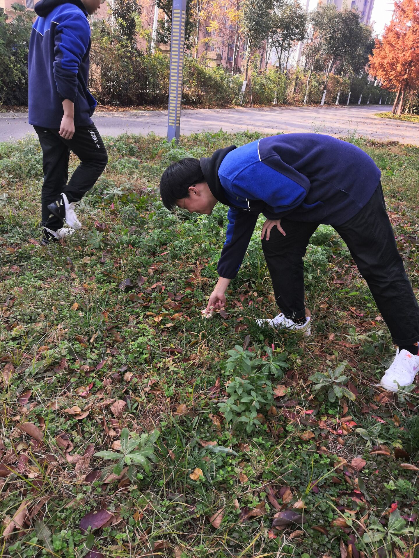 QQ图片20211129154545.jpg
