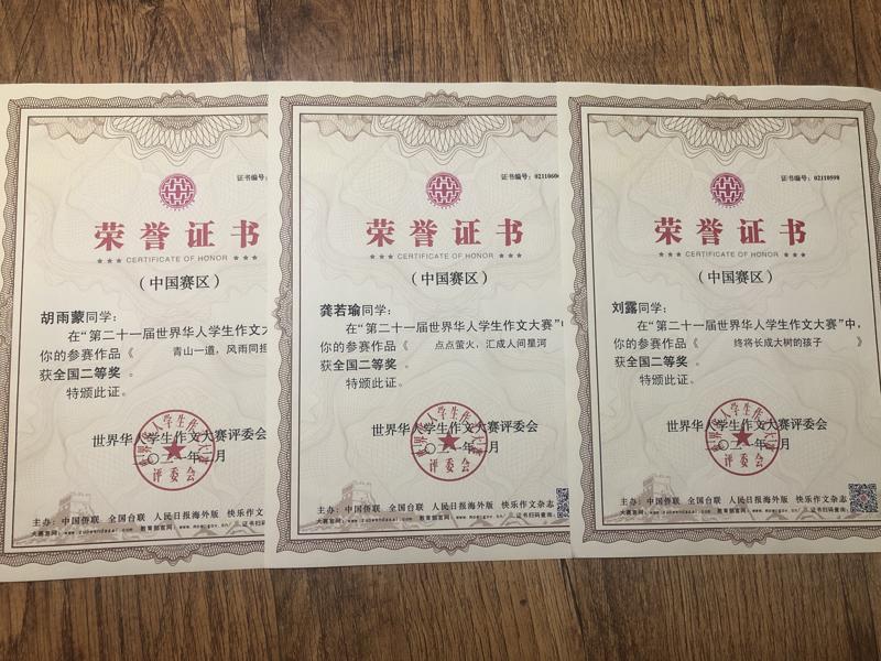 图片3 二等奖证书_爱奇艺.jpg