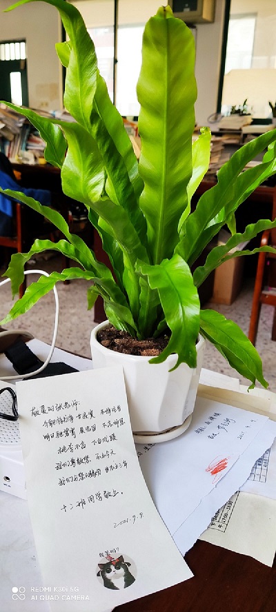教师节1631230972834.jpg