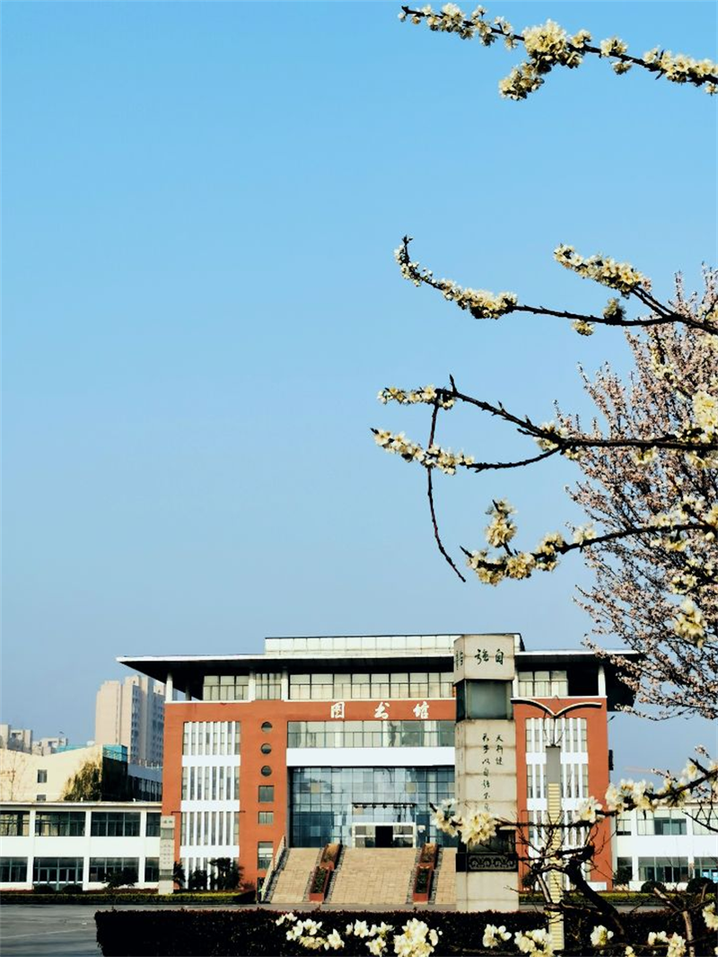 图片13.png