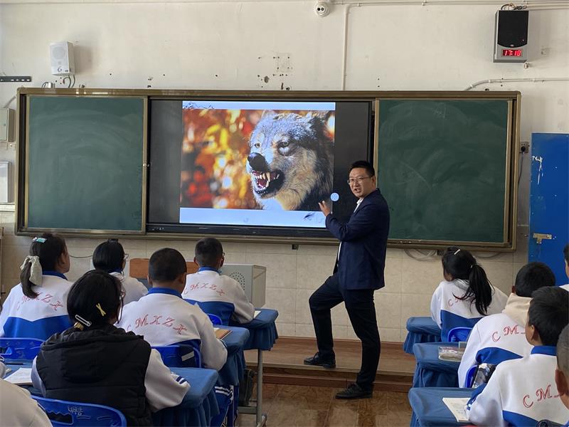 王老师的狼.jpg