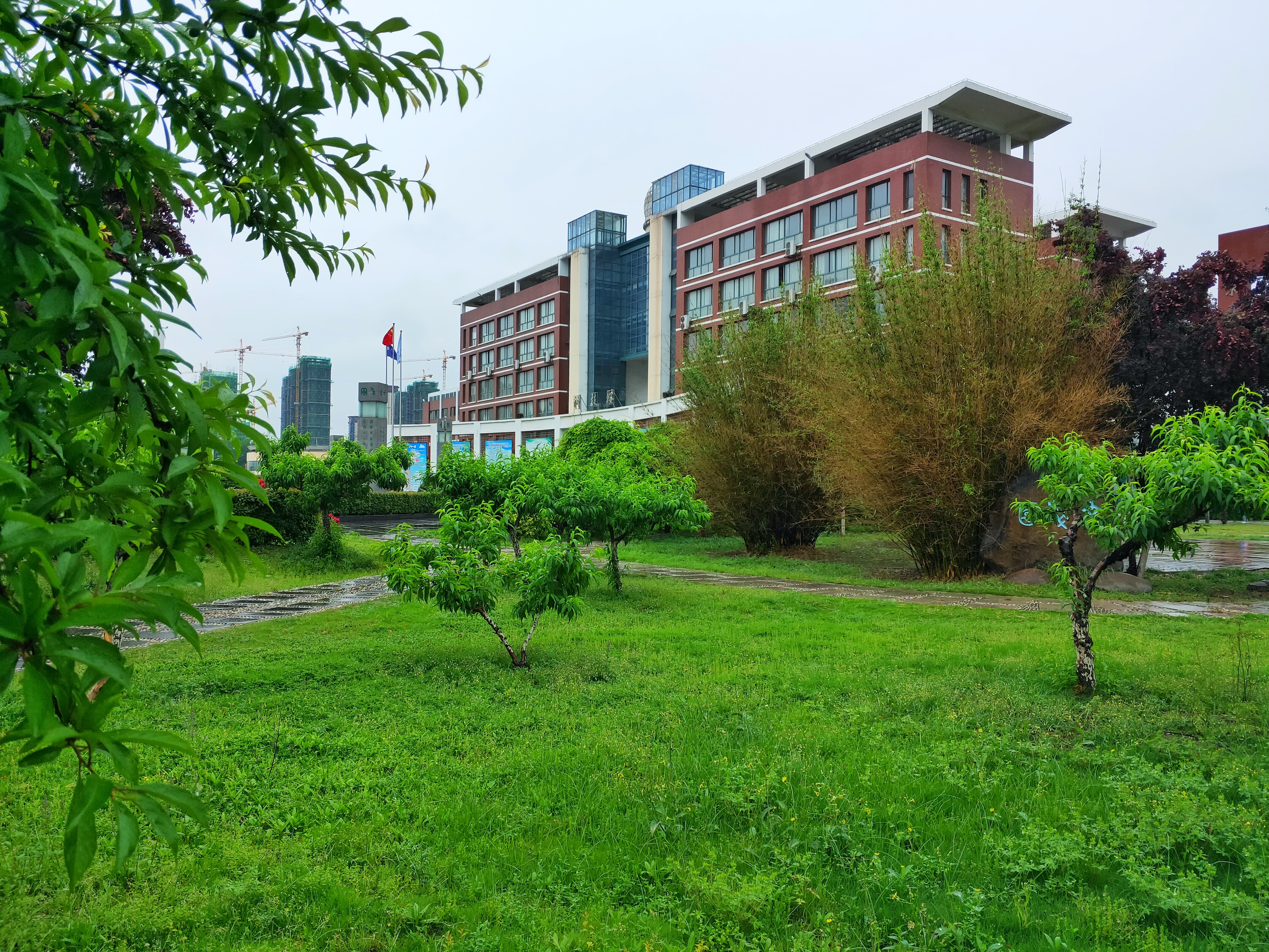 淮北市实验高级中学2024年自主招生成绩查询