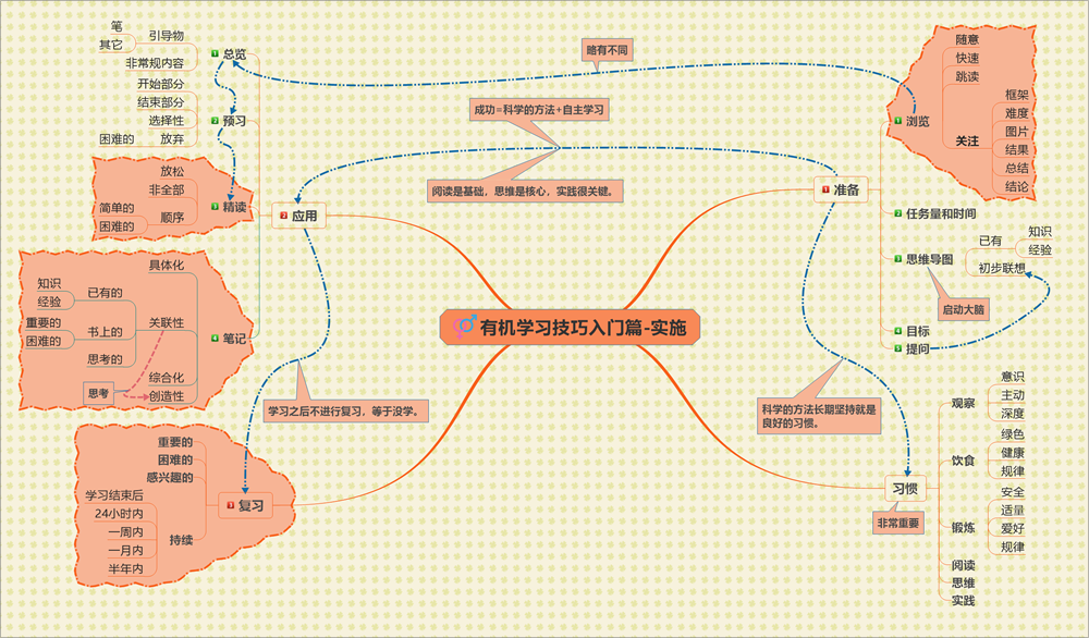 05-有机学习技巧入门篇-实施.png