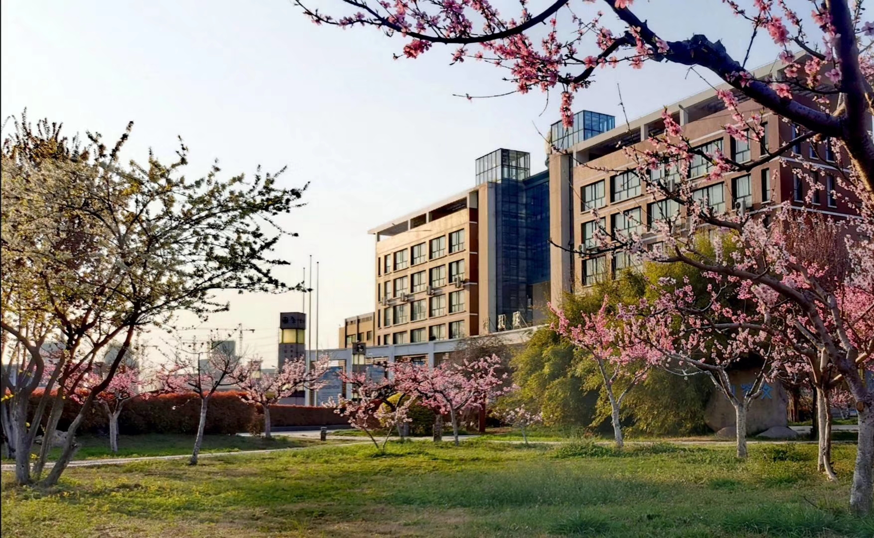 淮北市实验高级中学2025年自主招生简章