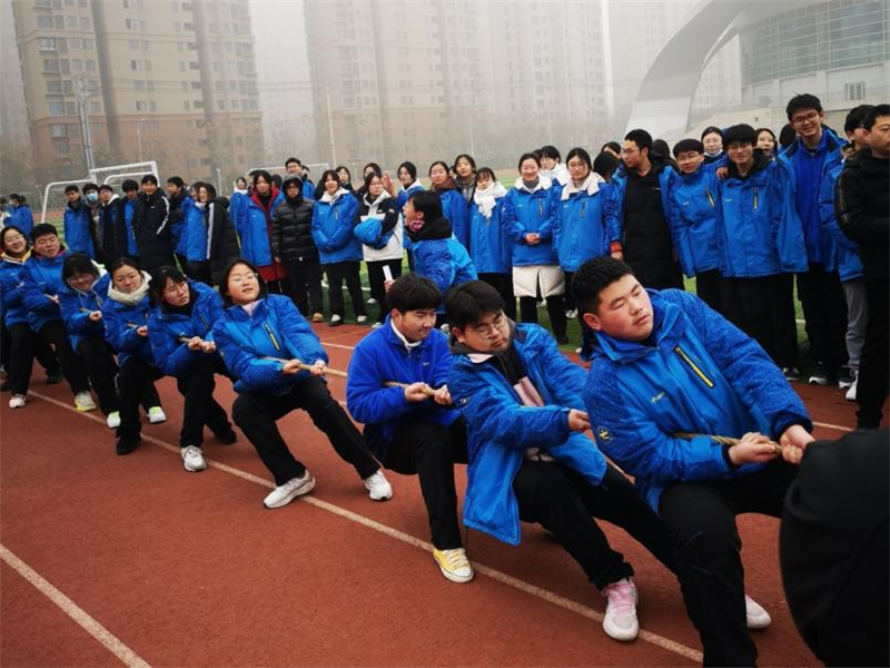 图片501.png